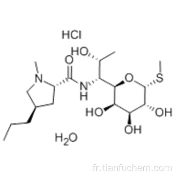 Chlorhydrate de monohydrate de lincomycine CAS 7179-49-9